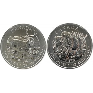Kanada, lot 5 dolarów 2013, Bizon i Widłoróg, UNC