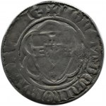 Zakon Krzyżacki, Winrych von Kniprode (1351-1382), półskojec, Toruń