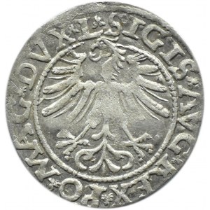 Zygmunt II August, półgrosz 1562, Wilno, TOPÓR u dołu