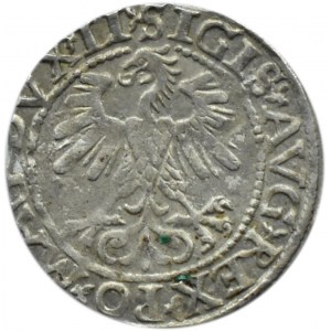 Zygmunt II August, półgrosz 1560, Wilno, LITV/LI