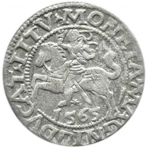 Zygmunt II August, półgrosz 1565, Wilno, Topór