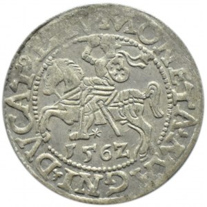 Zygmunt II August, półgrosz 1562, Wilno