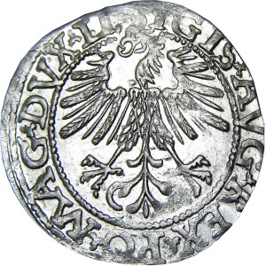 Zygmunt II August, półgrosz 1562, Wilno, MENNICZY
