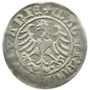 Zygmunt I Stary, półgrosz litewski 1509, Wilno