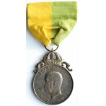 Szwecja, Gustaw VI Adolf, medal Królewskiego Towarzystwa Patriotycznego, srebro, pudełko