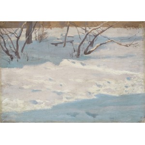 Ruszczyc Ferdynand, OGRÓD W ŚNIEGU, 1894