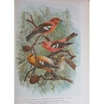 NAUMANN Naturgeschichte der Vögel [PTAKI EUROPY] 449 dużych plansz