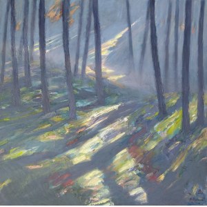Łukasz Zedlewski, Foresta