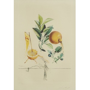 Dali Salvador, PAMPLEMOUSSE ÉROTIQUE(GREJPFRUT EROTYCZNY),1969/7