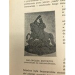 Grabiec J. [Józef Dąbrowski] Rok 1863 wyd. 1929 [komplet tablic]