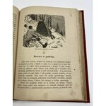 Grajnert Józef, Mały i wielki świat dziecięcy 1881 [Hoesick, Arct]