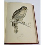 [Barwne tablice z ptakami drapieżnymi] Morris Francis Orpen, History of British Birds vol I