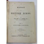 [Barwne tablice z ptakami drapieżnymi] Morris Francis Orpen, History of British Birds vol I