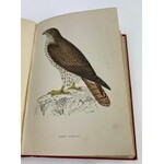 [Barwne tablice z ptakami drapieżnymi] Morris Francis Orpen, History of British Birds vol I