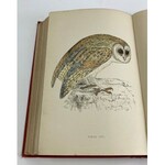 [Barwne tablice z ptakami drapieżnymi] Morris Francis Orpen, History of British Birds vol I