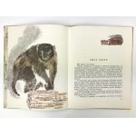 Obrazcow Sergiusz, Krótkie opowiadania o zwierzętach [ilustrował N. Czaruszyn]