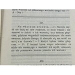 Nietzsche Fryderyk, Jutrzenka: myśli o przesądach moralnych [I polskie wydanie]