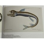 [Katalog wystawy] Rośliny i zwierzęta. Atlas historii naturalnej w epoce Linneusza