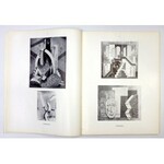 ART russe moderne. Préface par André Salmon. Paris 1928. Éditions Laville. 4, s. 93, [2]....