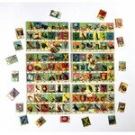 [LOTERYJKA]. Bilder-Lotto.
