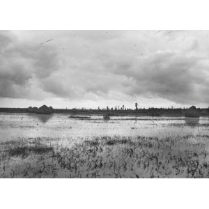 [POLESIE - krajobraz - fotografia widokowa]. 14 IX 1931. Fotografia form. 17x23,5 cm, autorstwa warszawskiego fotoreport...