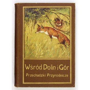 GUSTAWICZ Br[onisław], WYROBEK E[mil] - Wśród dolin i gór. Przechadzki przyrodnicze ozdobione i objaśnione w tekście 13 ...