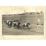 [KONIE - na torze wyścigów konnych - fotografie sytuacyjne]. [1943/1944]. Zestaw 4 fotografii form....