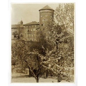 [KRAKÓW - widok na fragment Wawelu od strony południowo-zachodniej w porze wiosennej - fotografia widokowa]. [l. 20/....