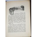 FRIDRICH ALOJZY T.J. - HISTORYE CUDOWNYCH OBRAZÓW...1-4 komplet, 1903