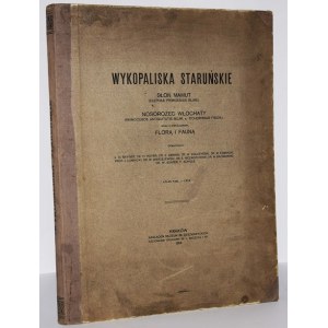 BAYGER JAN ALEKSANDER - WYKOPALISKA STARUŃSKIE. SŁOŃ MAMUT...1914