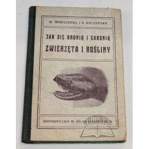 KUCZYŃSKA A., Jak się bronią i chronią rośliny.