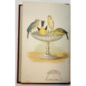 SMITH Francis, The canary, its varietes, management and breeding.