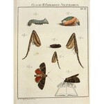 ROSENHOF August Johann Rösel von, Der monatlich herausgegebenen Insecten-Belustigung.