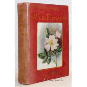 RANKIN Margaret M., A first book of wild flowers.