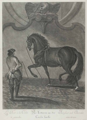Johann Elias RIDINGER (1698-1767), Pas Trottieren an der Corda lincts