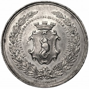 Medal na pamiątkę wystawy rolniczo-przemysłowej w Warszawie 1885