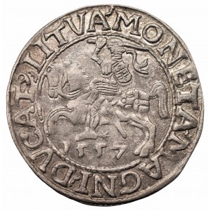 Zygmunt II August (1545-1572) - półgrosz 1557 LI/LITVA