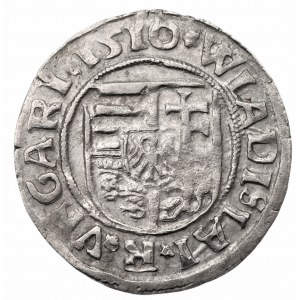 WĘGRY- Władysław II Jagiellończyk (1490-1516) - denar 1510