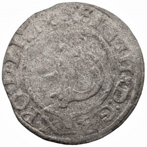 Zygmunt III Waza (1587-1632) - Szeląg 1596