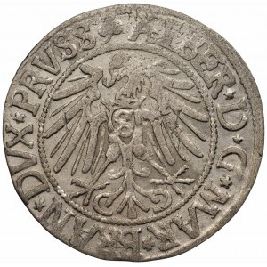 PRUSY - Albrecht Hohenzollern (1525-1568) - Grosz Królewiec 1542