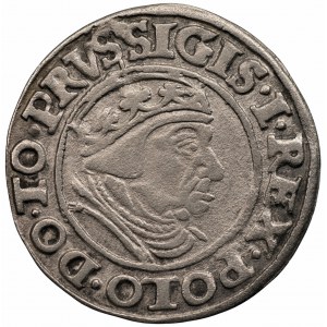 Zygmunt I Stary (1506-1548) - Grosz Gdańsk 1538 - PRVS•