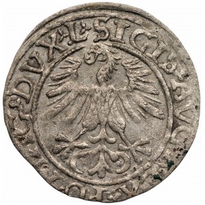 Zygmunt II August (1548-1572) Półgrosz Wilno 1565 - L/LITVA