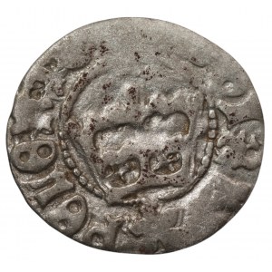 Jan I Olbracht 1492-1501 - Półgrosz koronny Kraków