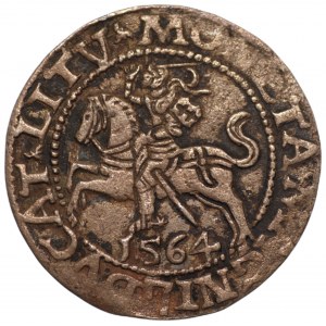 Zygmunt II August (1548-1572) - półgrosz 1564 LITV