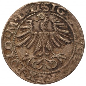 Zygmunt II August (1548-1572) - półgrosz 1564 LITV