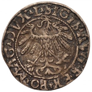 Zygmunt II August (1548-1572) - półgrosz 1558 L/LITV