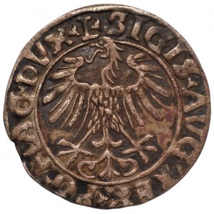 Zygmunt II August (1548-1572) - półgrosz 1556