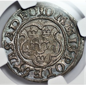 SZWECJA - Gustav I Vasa (1523-1560) - 2 ore 1541 - NGC AU53