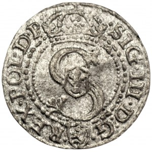 Zygmunt III Waza (1586-1632) - szeląg 1592 Malbork