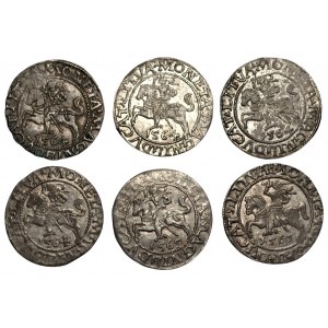 Zygmunt II August (1548-1572) - zestaw 6 sztuk Półgroszy 1564-1565